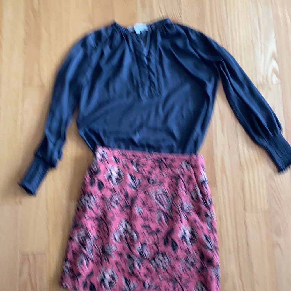 Beautiful skirt and blouse